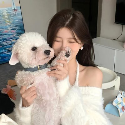 琼森帮的夏令营封面